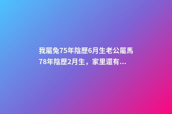 我屬兔75年陰歷6月生老公屬馬78年陰歷2月生，家里還有一男孩屬羊2003年陰歷7月生，請問還要再生一個 屬兔的和屬羊的最配嗎？-第1張-觀點-玄機派